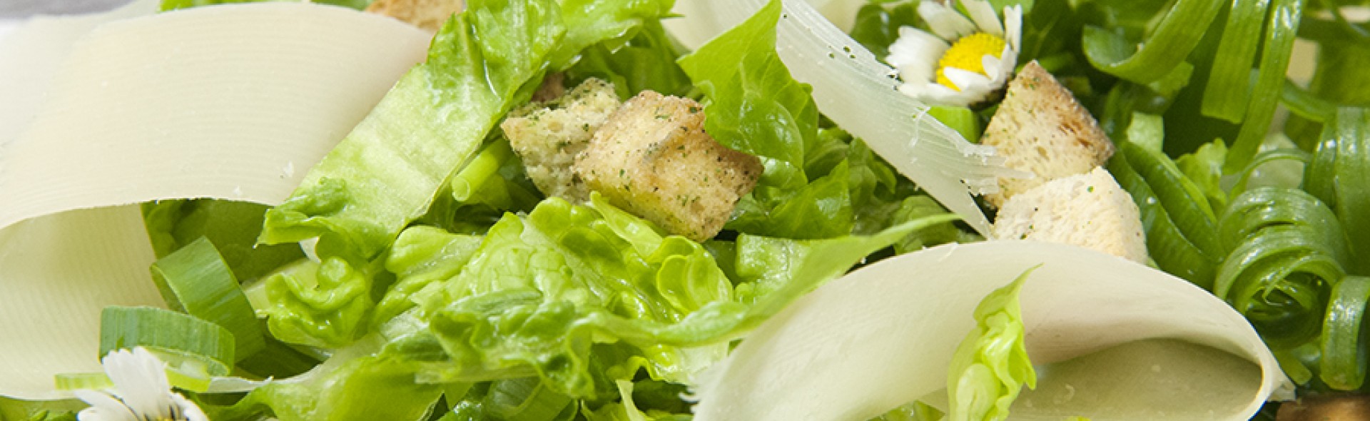 Caesar Salad without anchovies | Love my Salad