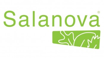 Salanova® Lettuce | Love my Salad