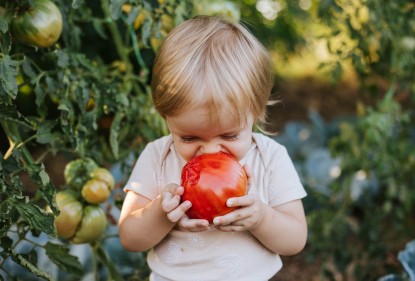 Wil je kind niet eten? Tips voor het leren waarderen van groente