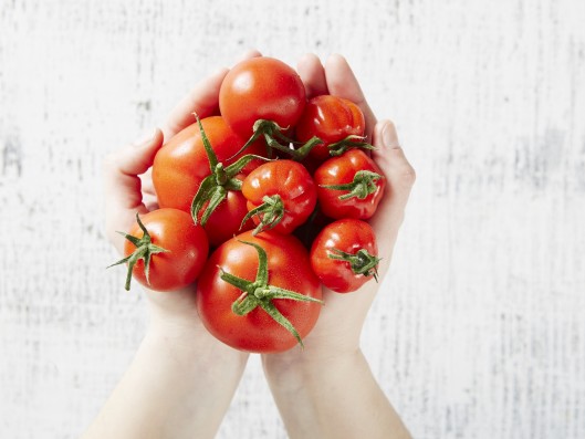 Picking The Best Tomato Love My Salad