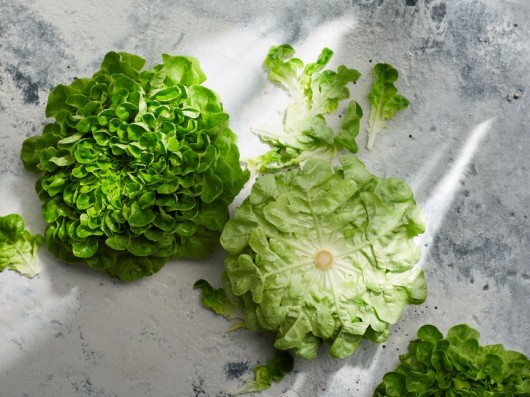 Geniet langer van verse sla - hoe bewaar je sla het best | Love Salad