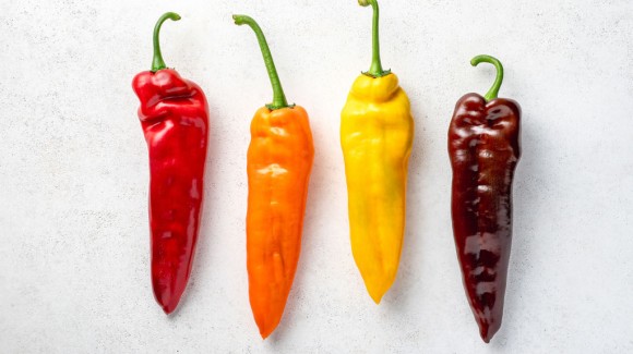 5 maneras de preparar un pimiento cónico