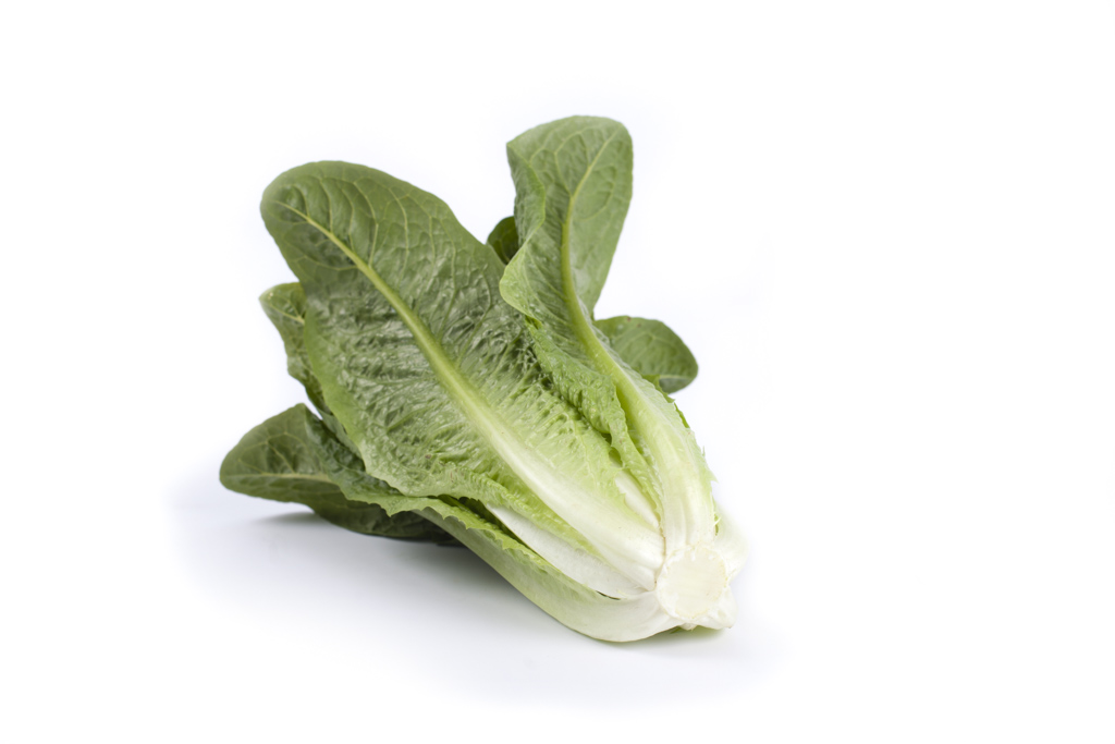 Romaine or Cos lettuce | Love my Salad